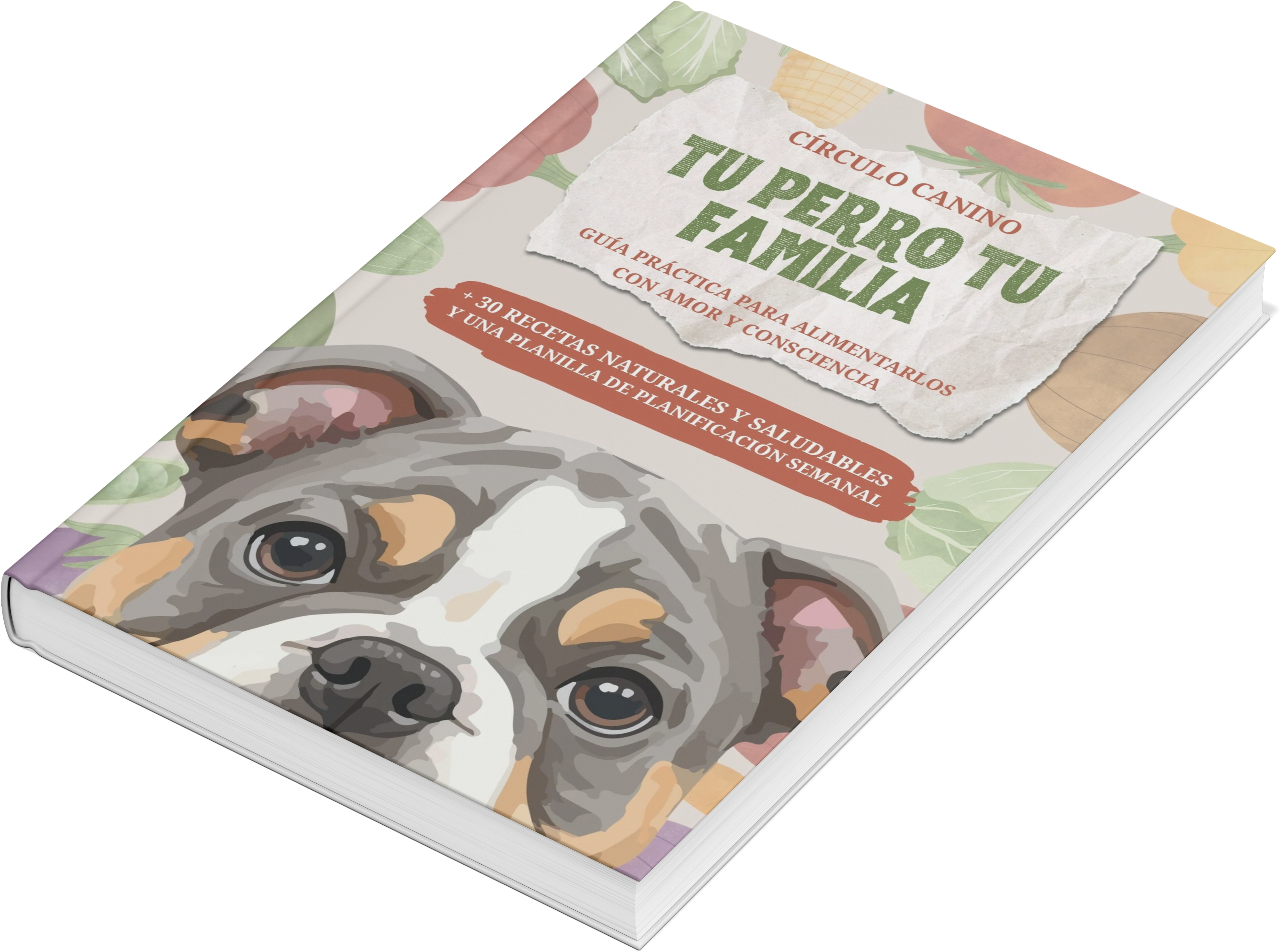 DALE LA VIDA QUE SE MERECE